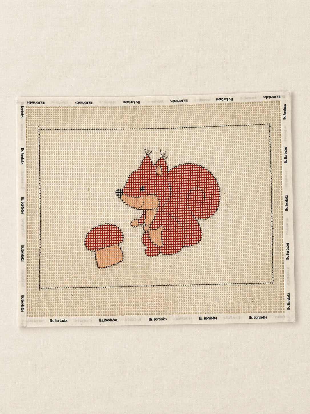 Cañamazo dibujado Infantil Ardilla: ejemplo del diseño de ardilla bordado a color sobre cañamazo — Ms. Bordados